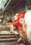 Kiosk unter Treppen zw. New Market und Lal Bazar (Market)